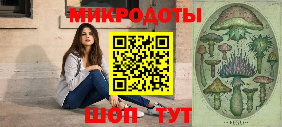 Чайковский  Галлюциногенные грибы MAGIC MUSHROOMS  Вход с VPN 